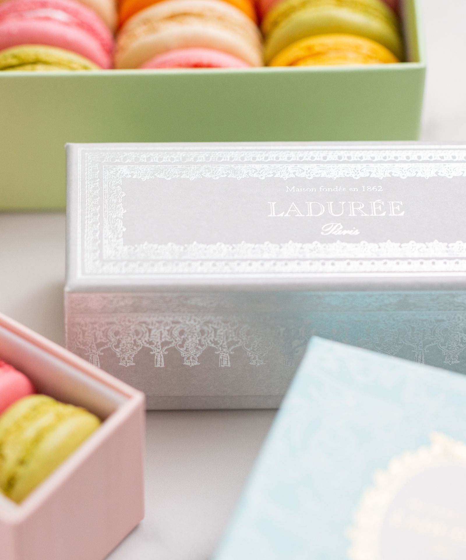 LADUREE Paris 【Sucre Sale シュリンク済2冊セット】 Collections – Ladurée